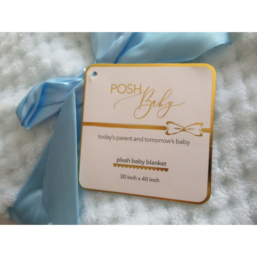Posh Baby Pale Blue BABY Blanket 30"x40" NWT Soft Textured Sports Ball All Stars - Picture 5 of 9